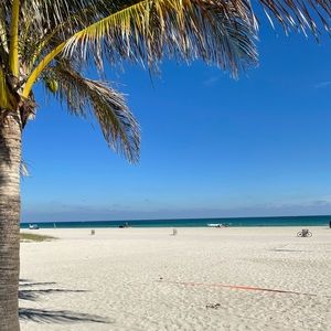 Meet your Posher, Jack